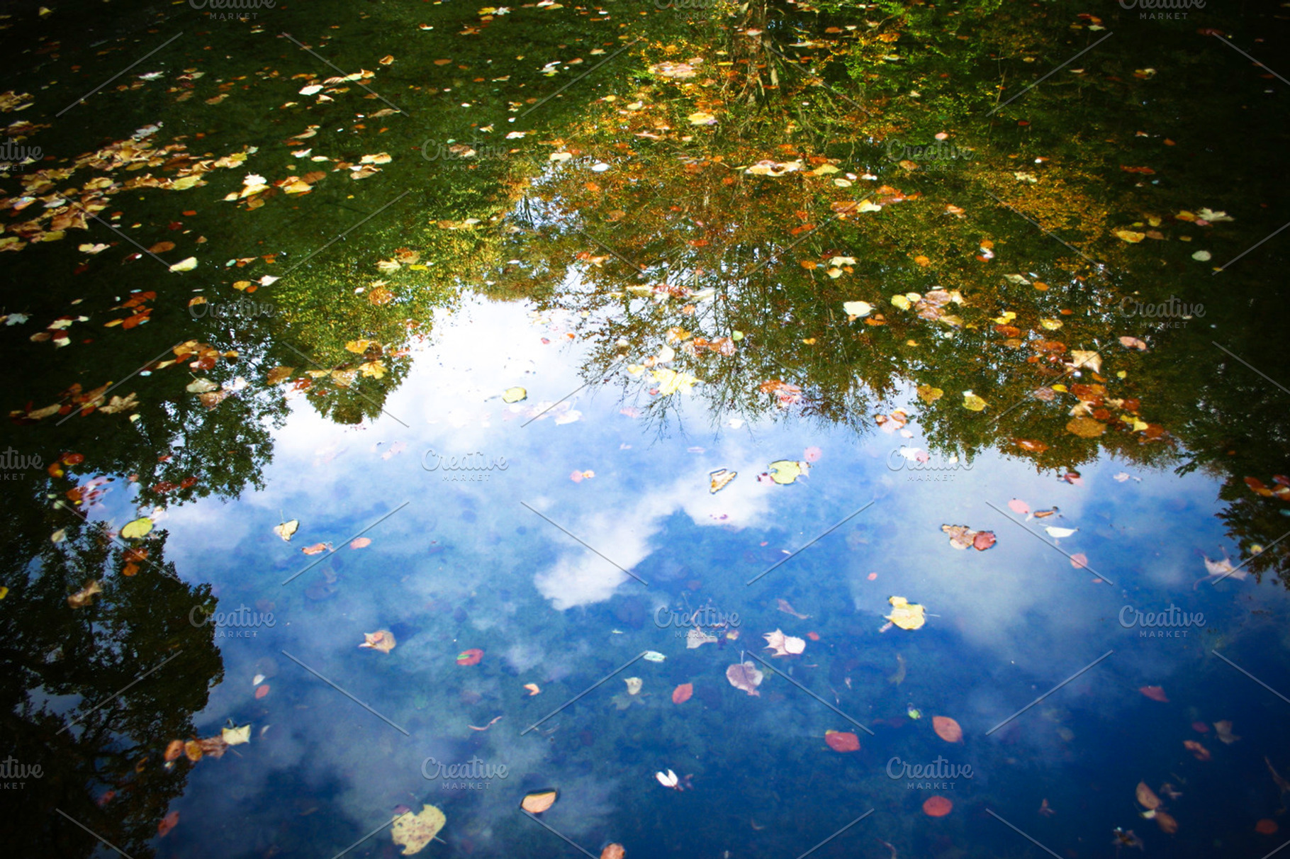Autumn Reflexion