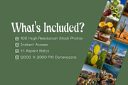 105 Desert Cactus Stock Photos, a Nature Photo by Incomelion (Thumbnail 10 of 16)
