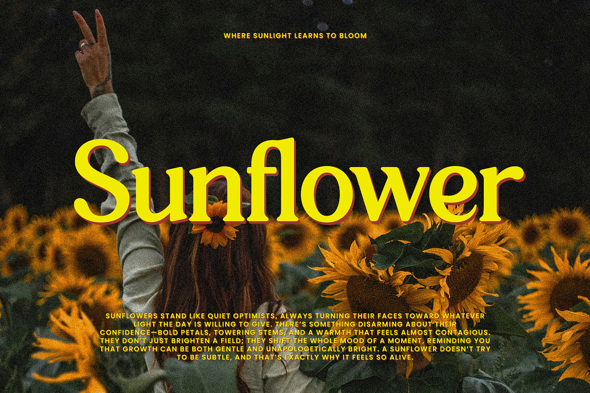 Wen Romun – Nostalgic Display Serif, a Serif Font by Mahesans Co (Photo 4 of 11)