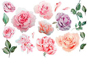 Hand Drawn Watercolor Roses 2