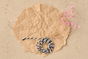 A crumpled sheet of kraft paper on a beige background. Dried pin, an Abstract Photo by ndanko