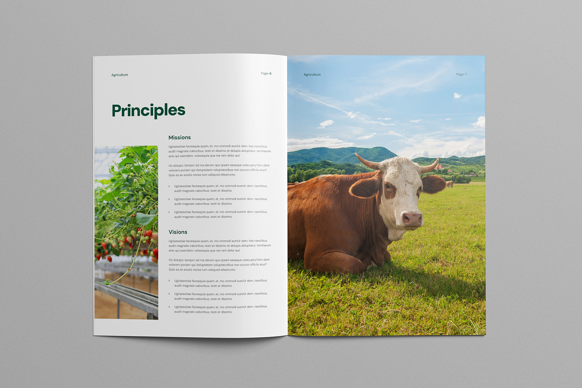 Agriculture Brochure Template, a Brochure Template by Pixelpick (Photo 4 of 9)