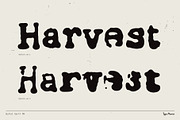 Bullet Serif TM – Grunged Typewriter, a Sans Serif Font by Type Mania (Thumbnail 4 of 10)