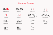 Kiltier | High Contrast Serif, a Serif Font by Jolicia Type (Thumbnail 15 of 22)