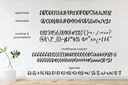 Joyce Kitchen, a Script Font by Abo Daniel Studio (Thumbnail 11 of 11)