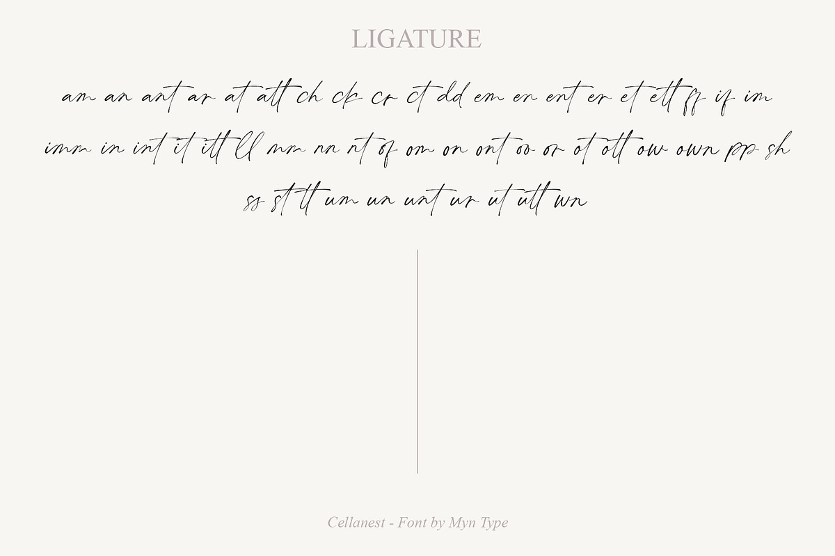 Cellanest - Modern Handwritten Font, a Handwritten Font by Myn Type (Photo 13 of 13)