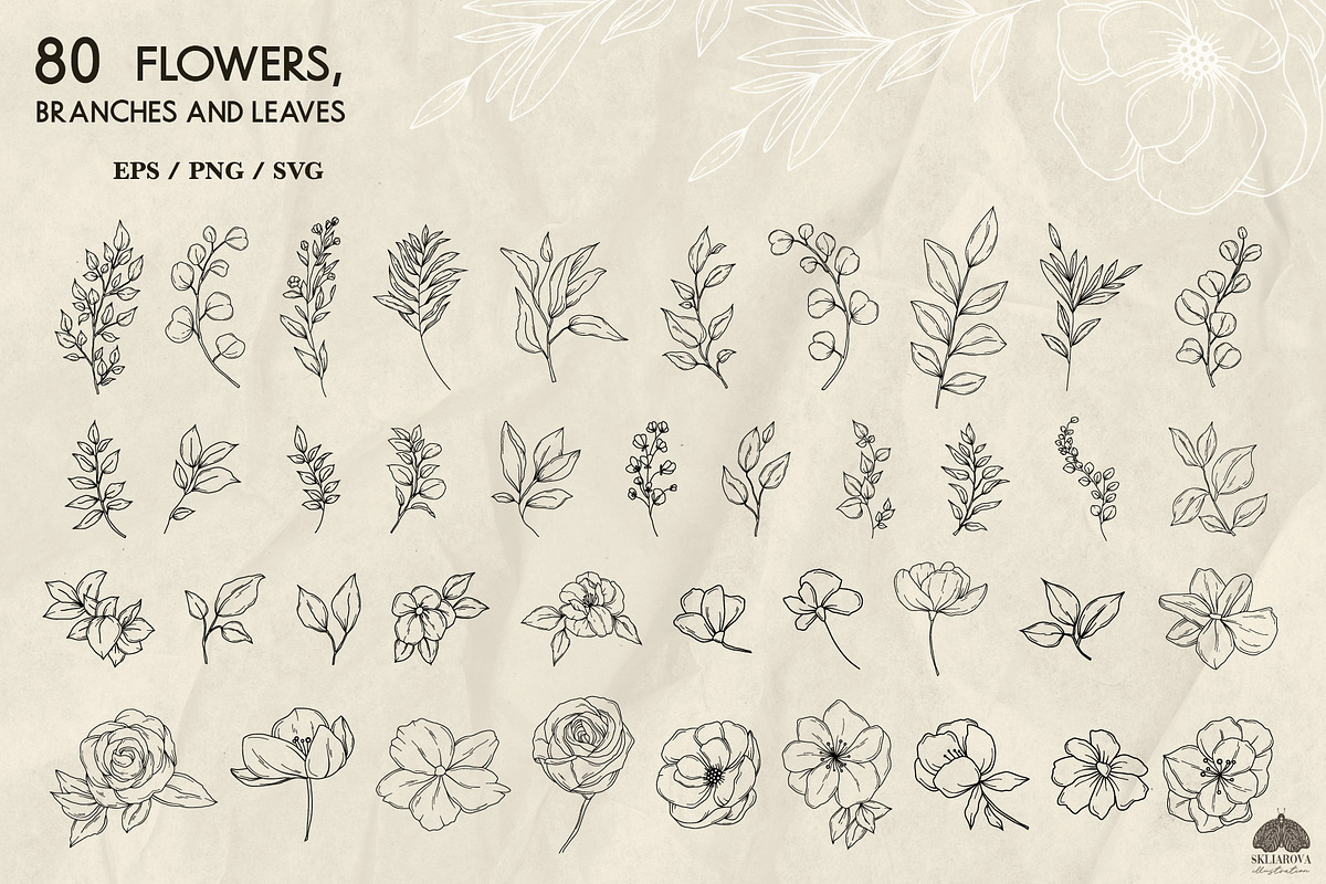 Botany Line Art Collection, a Decorative Illustration by Skliarova (Photo 3 of 10)