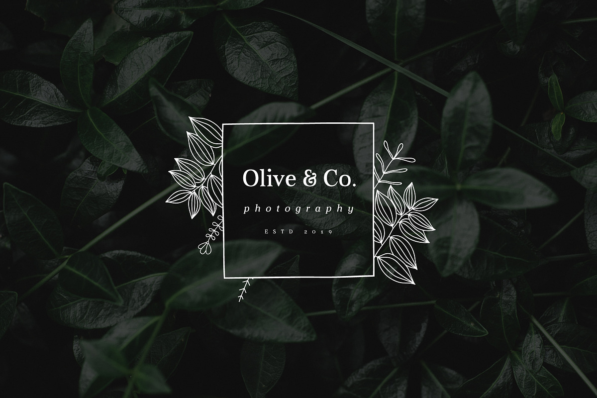 Feminine Branding Premade Logos V02, a Branding & Logo Template by XpertgraphicD (Photo 10 of 13)