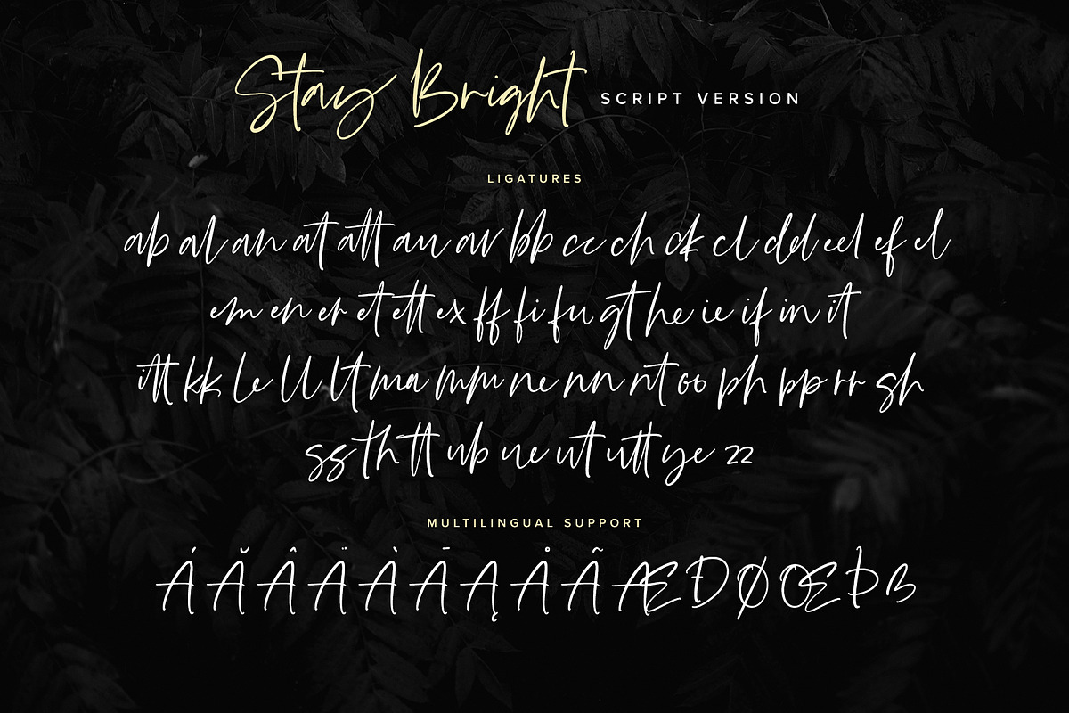 Stay Bright Font Duo preview 8