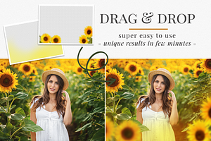 Sunflower Fields Photo Overlays