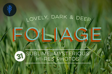 Photo Suite: Palm Leaves preview 5