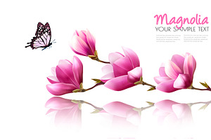 Nature Background With Pink Magnolia