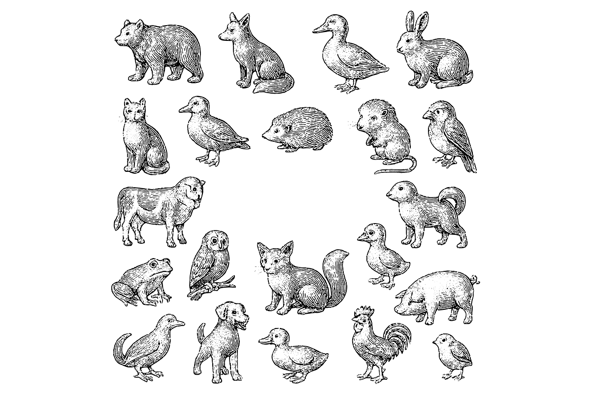 Animals Illustration Set, an Object Graphic by RT Studio
