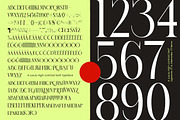 Blonare Luxury High Contrast Serif, a Serif Font by timelesstype.co (Thumbnail 13 of 15)