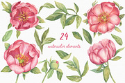 Pink Peonies - Watercolor Set, a Decorative Illustration by Irina Diasli (Thumbnail 2 of 8)