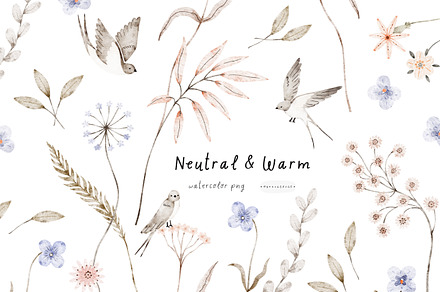 Neutral&Warm watercolor png