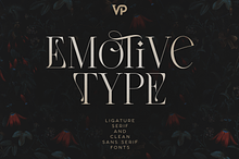 Emotive Type - creative font duo