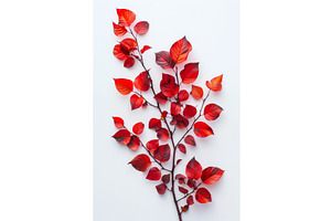 Warm Backlit Autumn Leaves On Branch