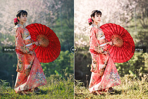 Asiatic Lily Pro Lightroom Presets