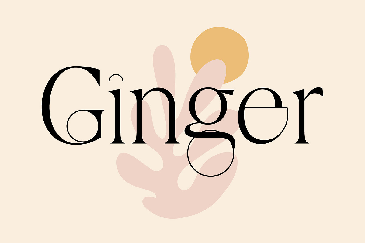The Modern Font Bundle Vol.5 80% OFF, a Sans Serif Font by Tropical Type (Photo 11 of 43)