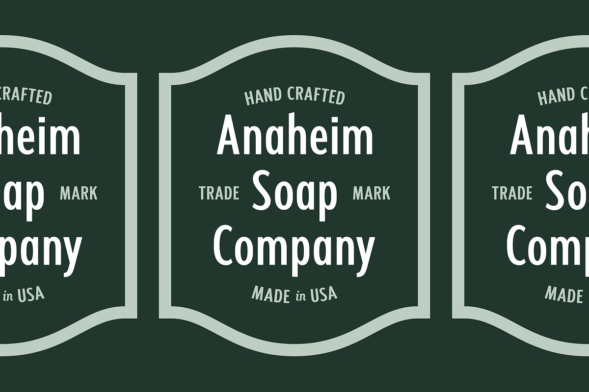 Fellbaum Grotesk Full, a Sans Serif Font by Vintage Type Company (Photo 14 of 16)