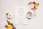 Ornamental Frames for Wedding Logos, an Illustration by Blushed Design by Katrina (Thumbnail 3 of 6)