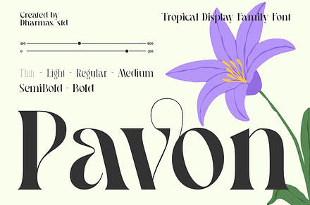 Pavon - 6 Tropic Family, a Serif Font by Dharmas Studio