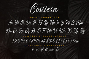 Costiera - Elegant Handbrush