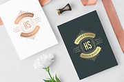 18 Wedding Logos and Badges, a Branding & Logo Template by Vasya Kobelev (Thumbnail 13 of 15)