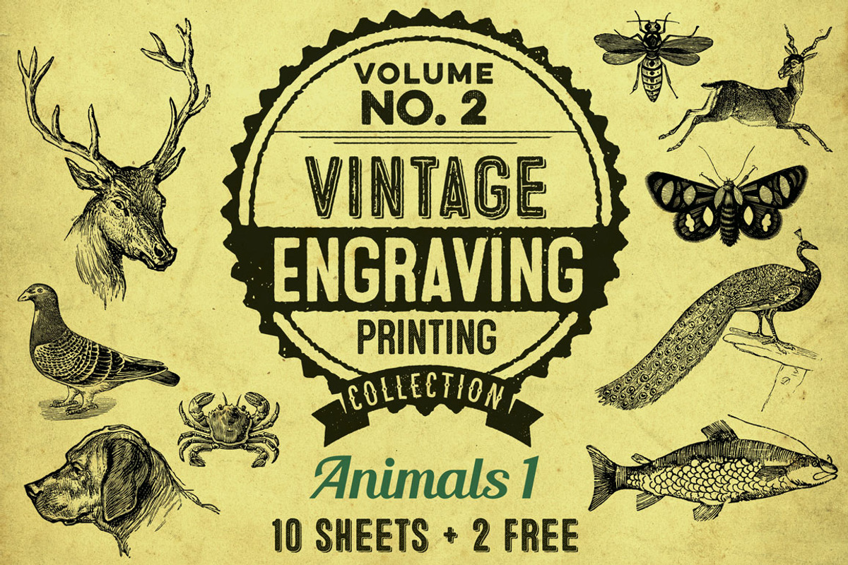Animals + bonus / vintage engravings