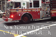 New Yorker Type - Classic and Pro, a Font by Wiescher Design (Thumbnail 6 of 7)