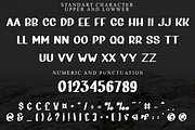 After Sunday, a Script Font by InermediaSTUDIO (Thumbnail 7 of 8)