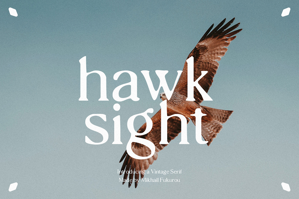 hawk sight - vintage serif, a Serif Font by Mikhail Fukurou (Photo 1 of 8)