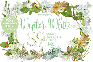 0101 Winter White