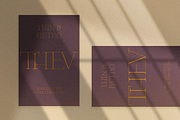 TwoOne, a Serif Font by FactoryType Studio (Thumbnail 11 of 14)