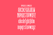 Nawarty, a Serif Font by lelevien (Thumbnail 3 of 5)