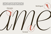 GC Ballerina - Stylish Serif Italic, a Serif Font by Glyphonic (Thumbnail 6 of 15)