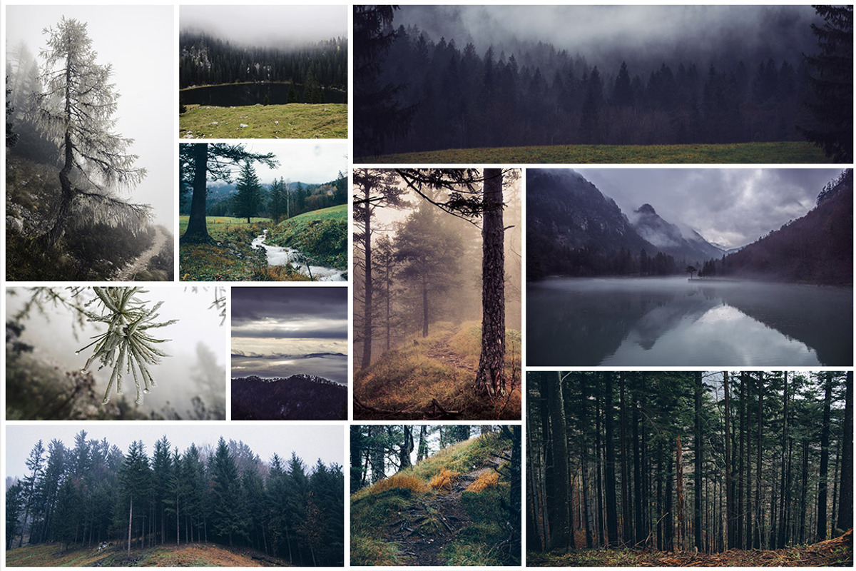 Mystic Forest Photo Pack - 60 Images, a Templates & Theme by Dreamy Pixel (Photo 2 of 5)