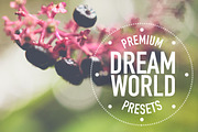 Dream World Lightroom Presets