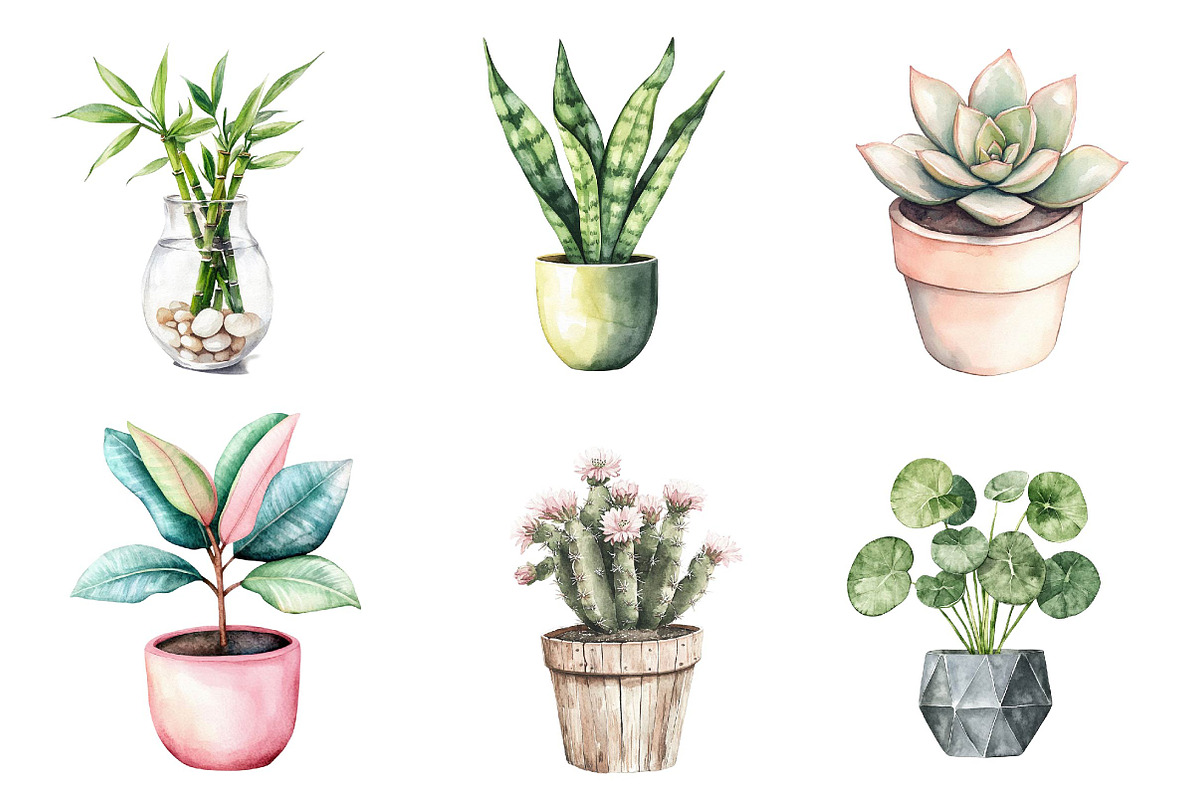 Watercolor Houseplant Clipart, an Illustration by CreationArt (Photo 3 of 5)