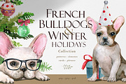 French Bulldogs and Winter Holidays, an Animal Illustration by Wenona (Thumbnail 1 of 8)