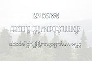 Sleeping Forest, a Serif Font by TypeKatsu (Thumbnail 3 of 4)