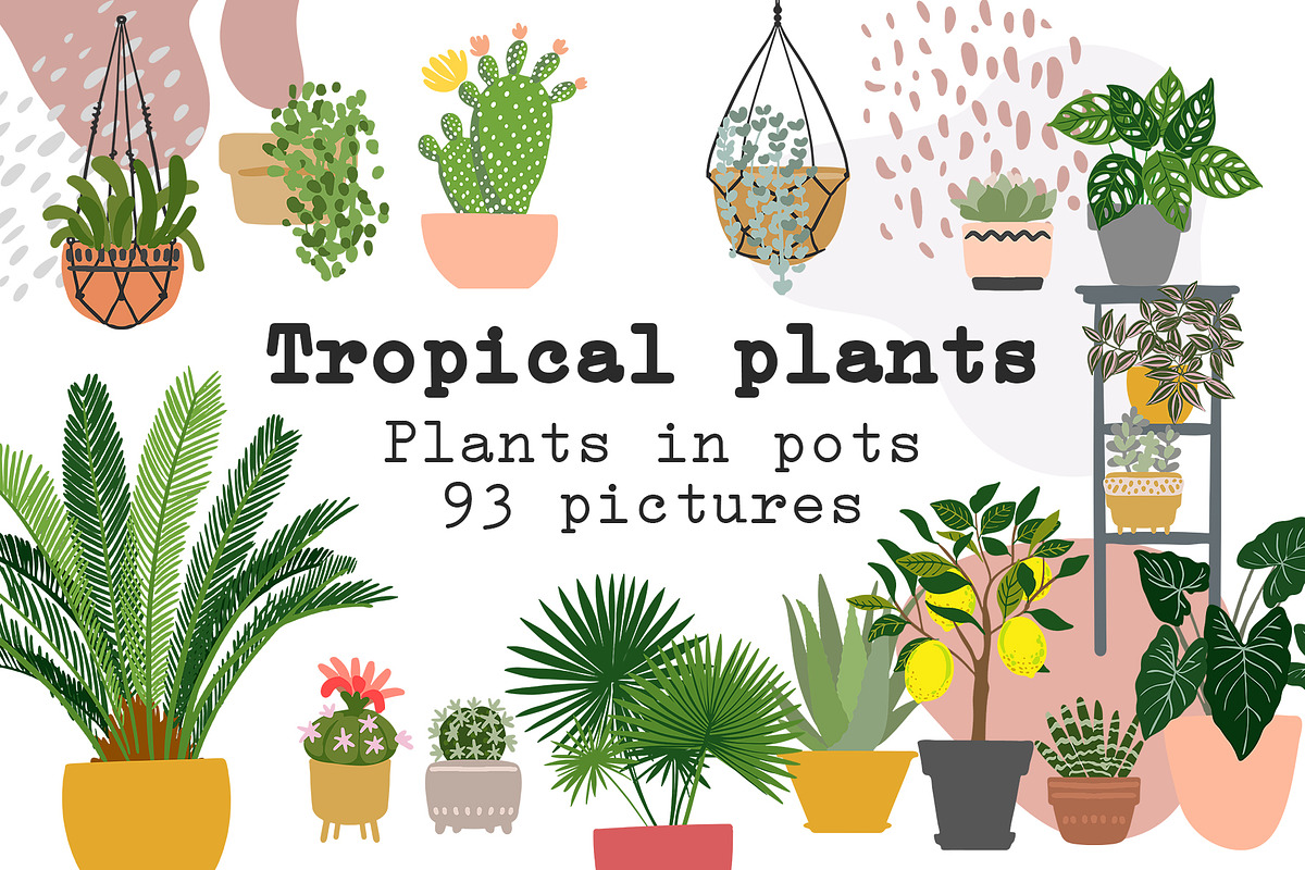 Tropical plants vector., an Illustration by irina.vaneeva (Photo 1 of 15)
