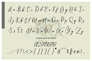 Wellington, a Script Font by MSG Studio (Thumbnail 8 of 9)