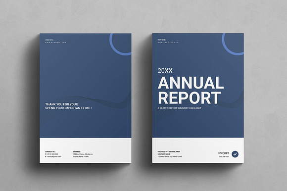 Annual Report Template - 16 Pages preview 8