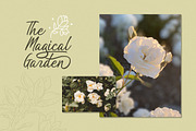 Tahnia - Modern Script, a Script Font by Rillatype Studio (Thumbnail 7 of 10)