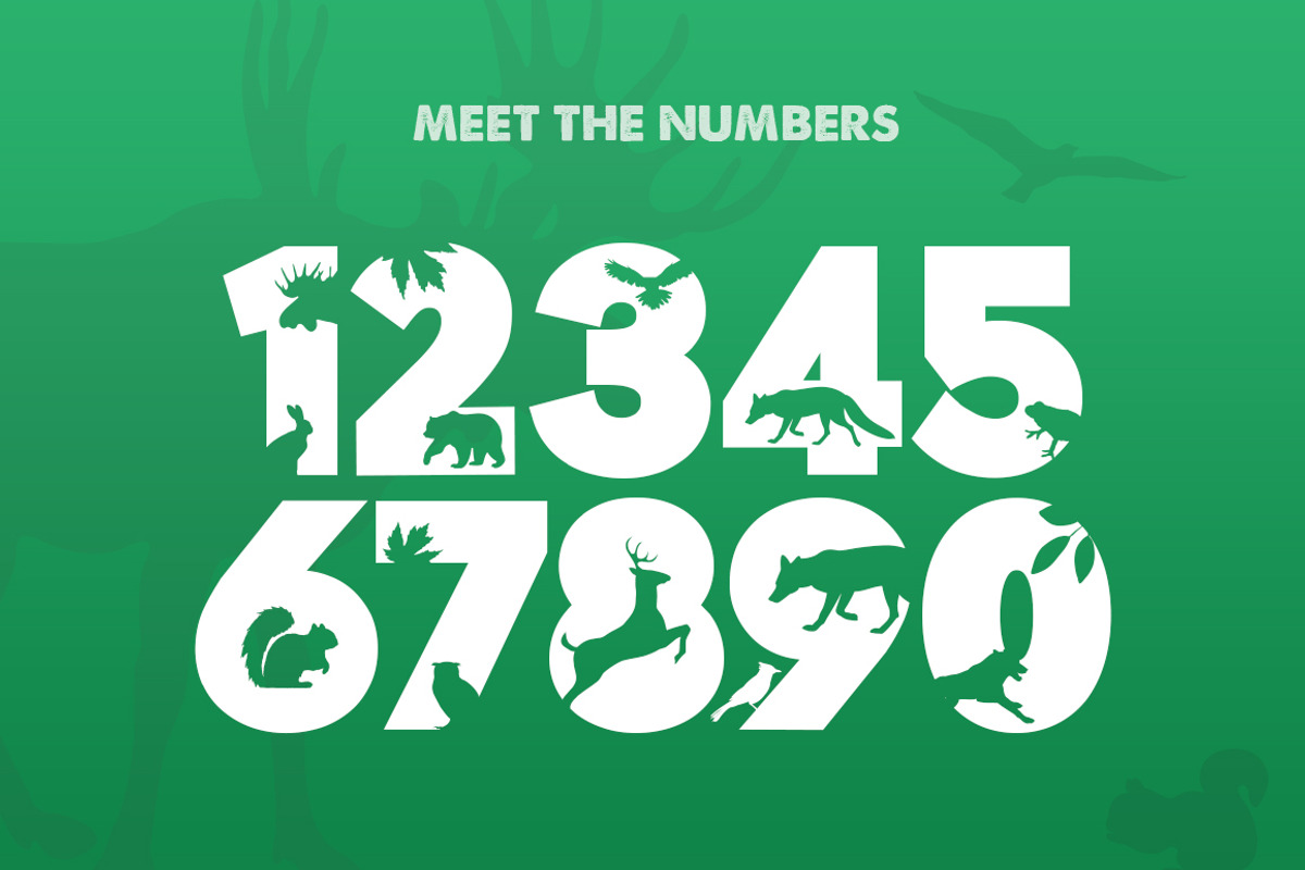 The Forest Font preview 3