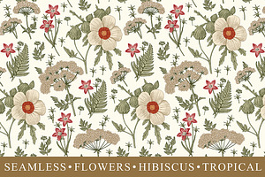 Seamless Flowers Hibiscus Tropical