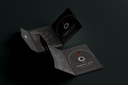 Disc & Sleeve Mockup, a Product Mockup by pmvch (Thumbnail 1 of 10)