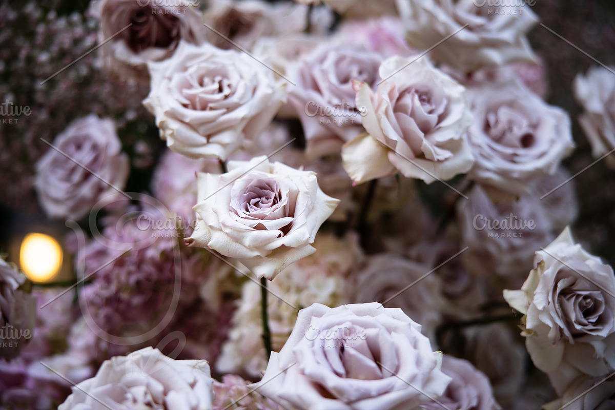 A Garden of Roses | Wedding, Events, a Nature Photo by Farewell (Photo 19 of 41)